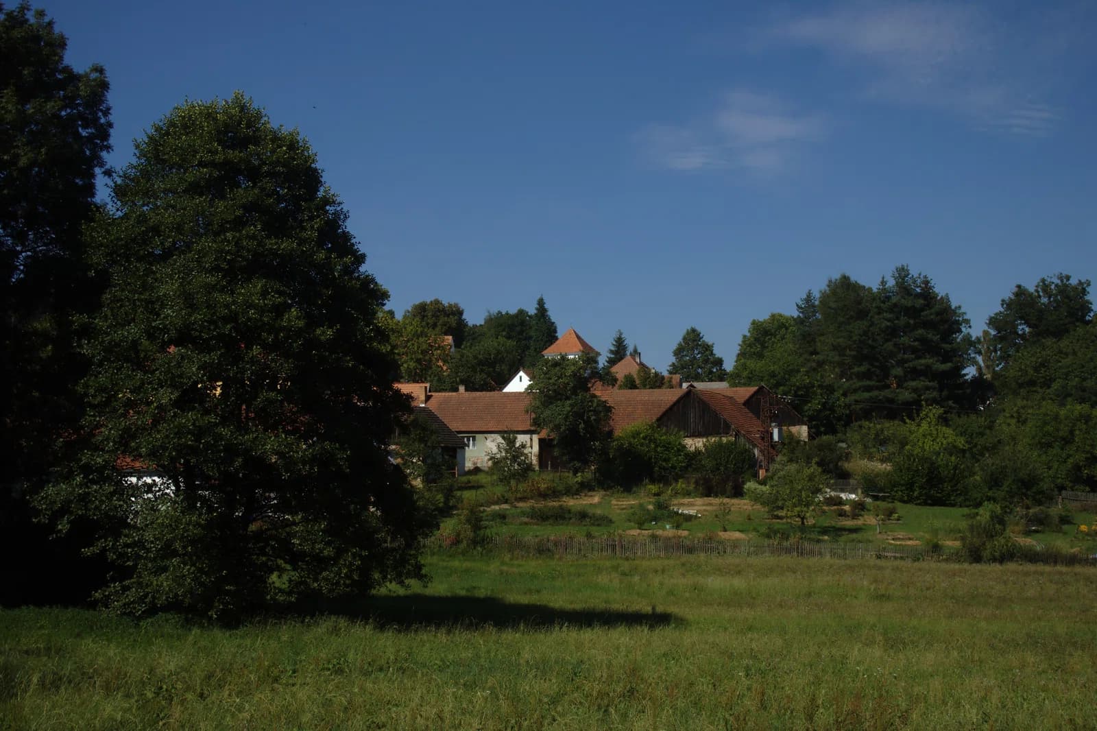 Zhoř