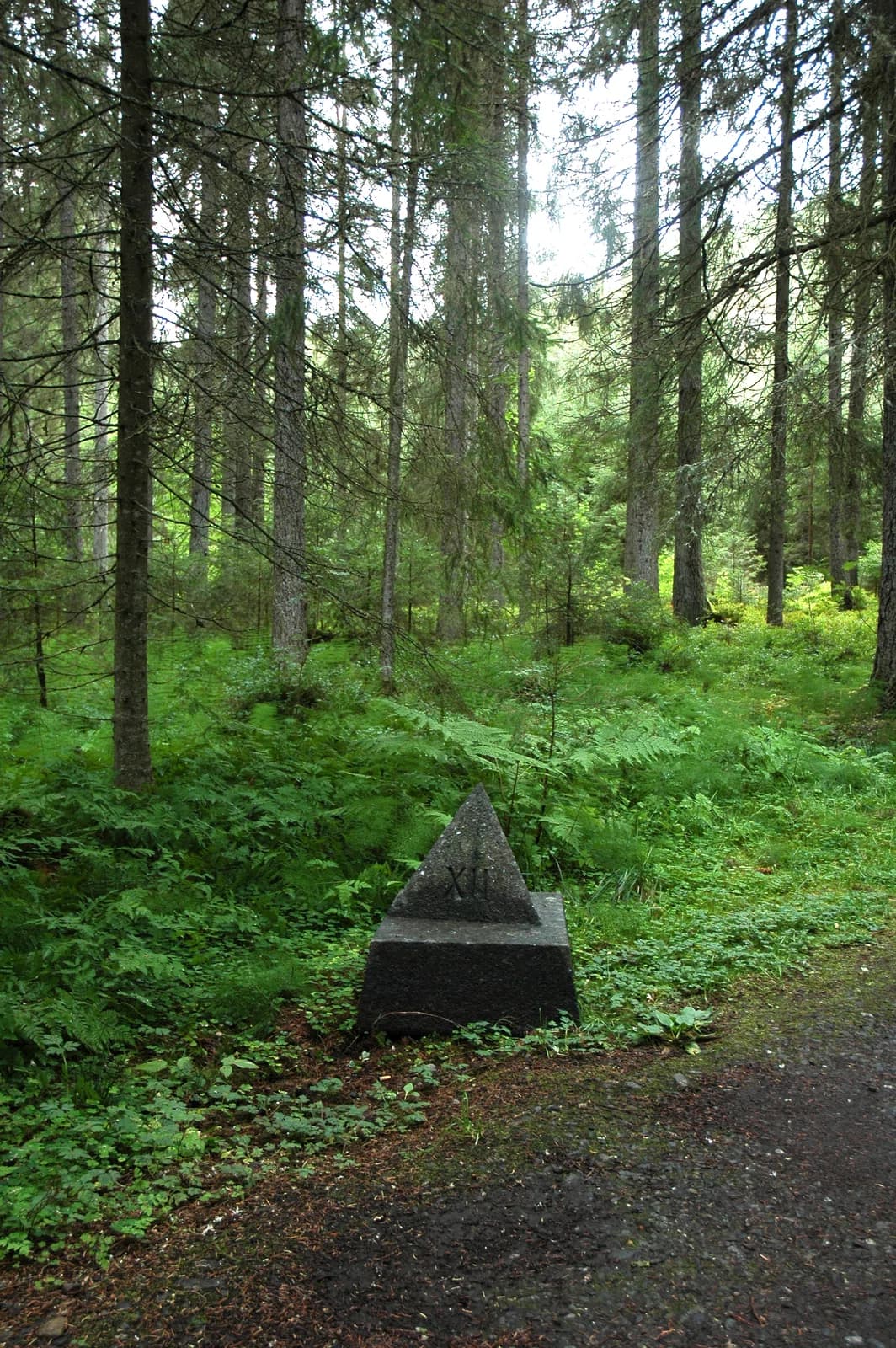 Falstadskogen
