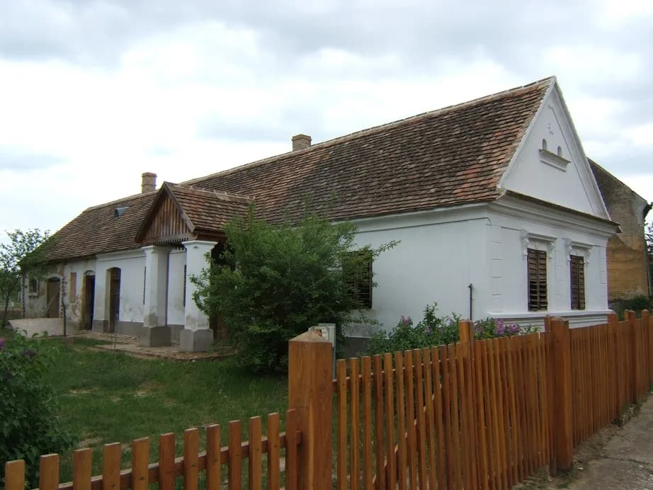 Mezőcsokonya
