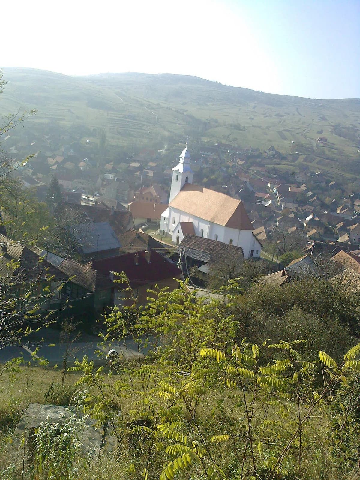 Lueta