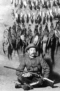 zoological collector