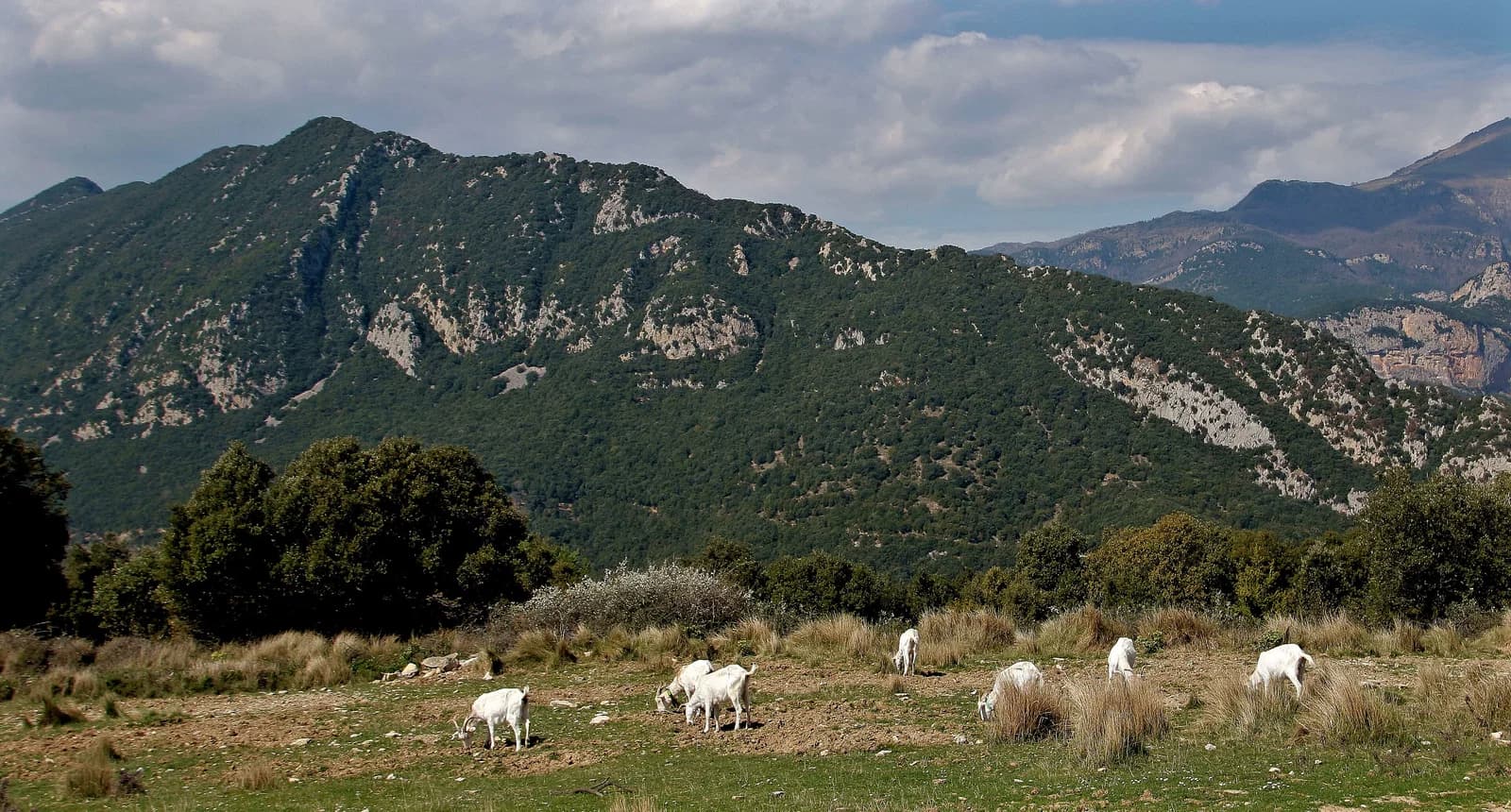 Garrotxa