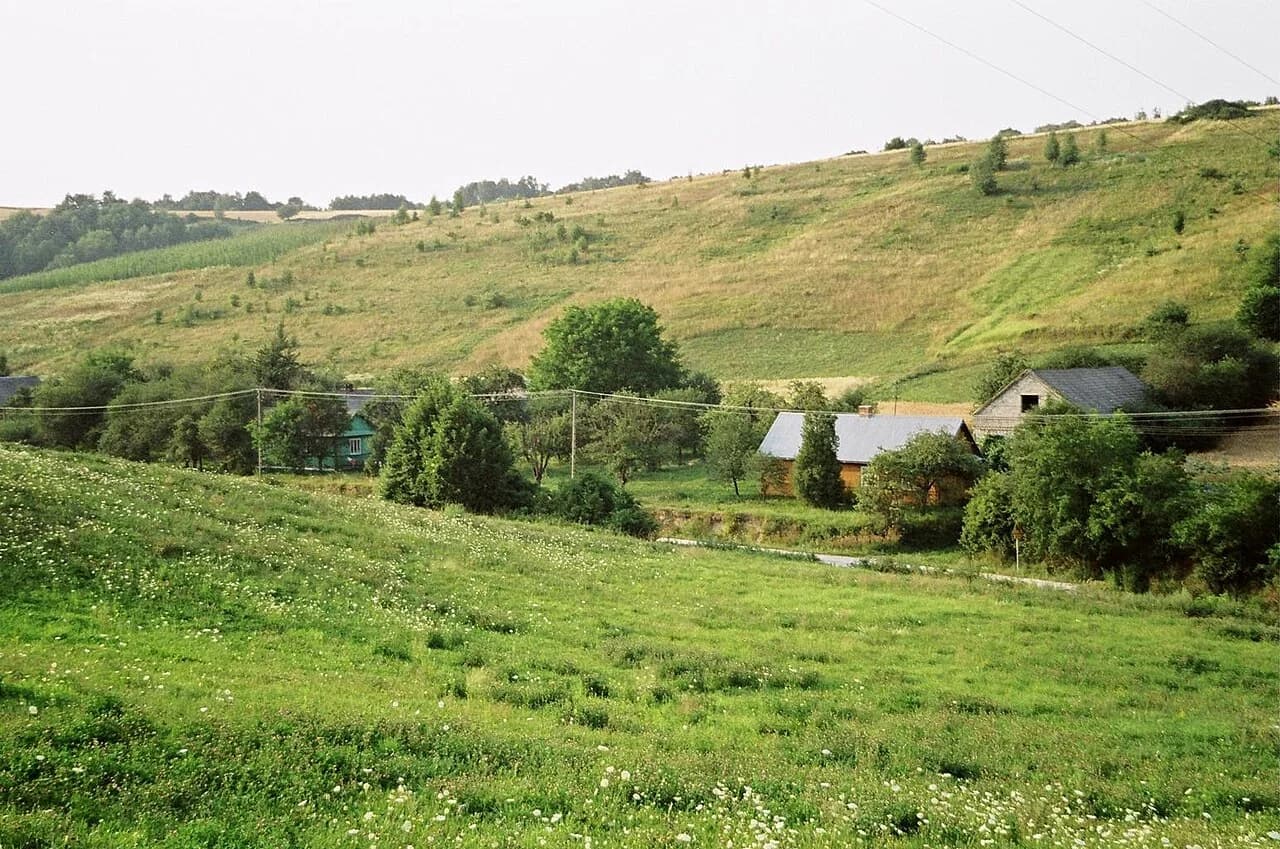 Zaburze
