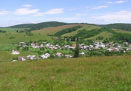Brusnica
