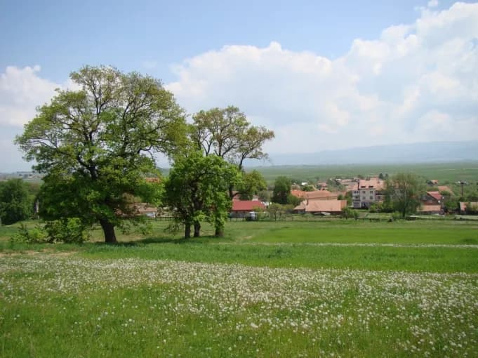 Boroșneu Mare
