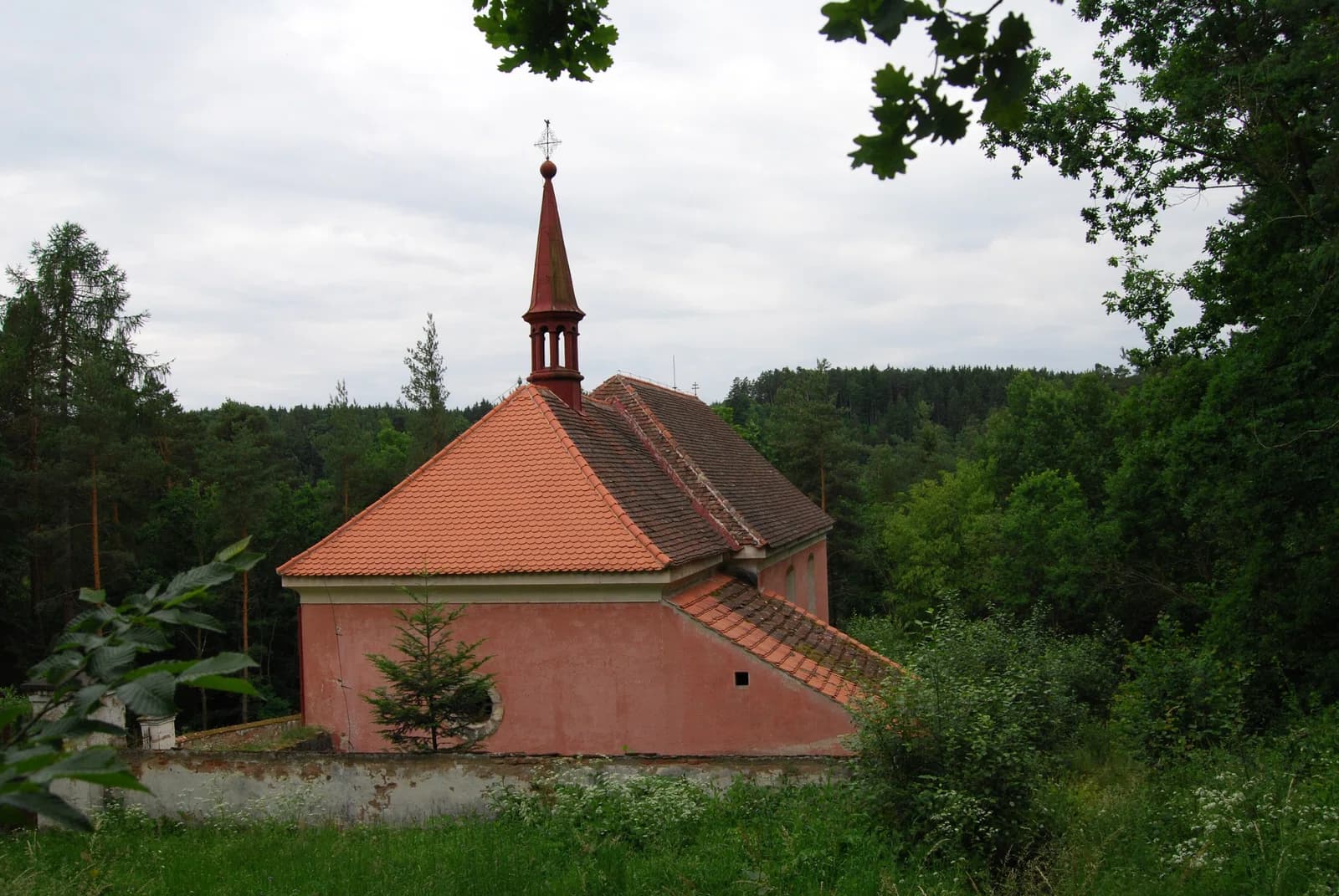 Czerwena