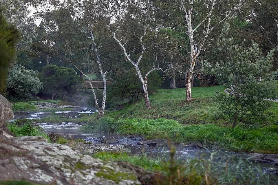 Coburg North