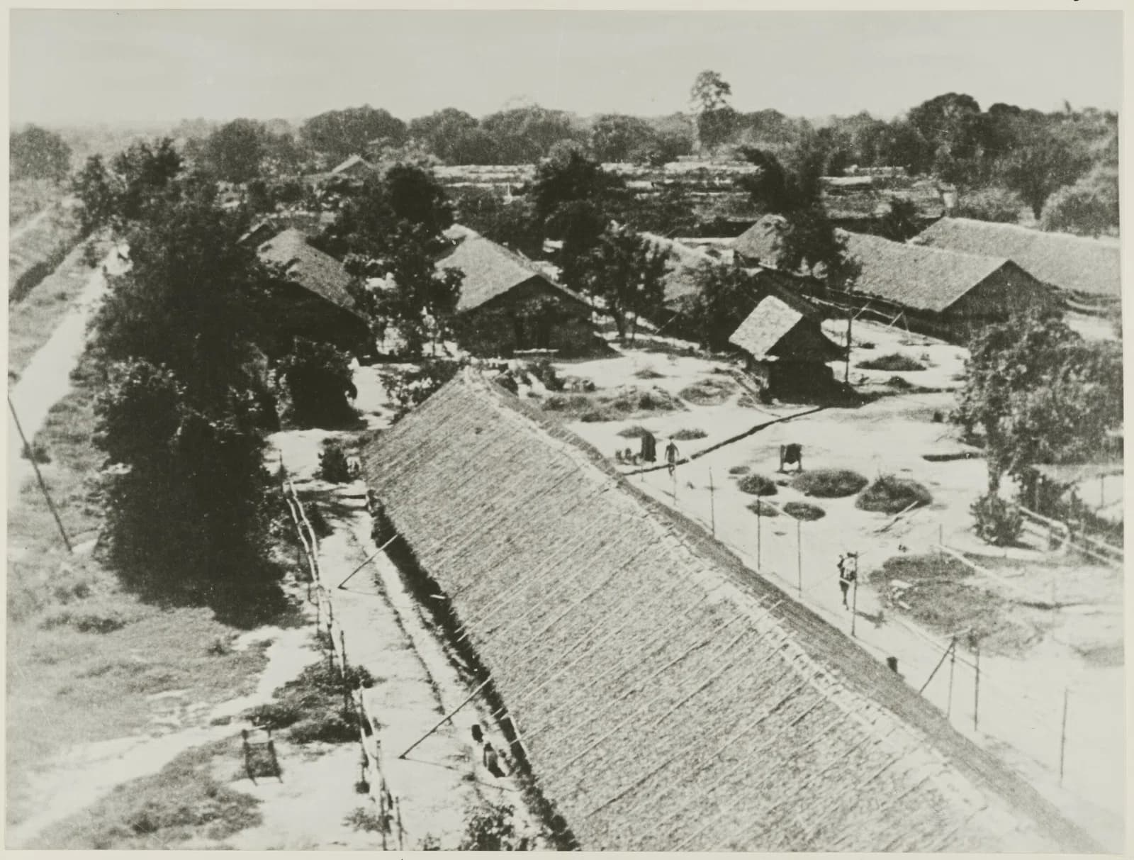 Tamarkan