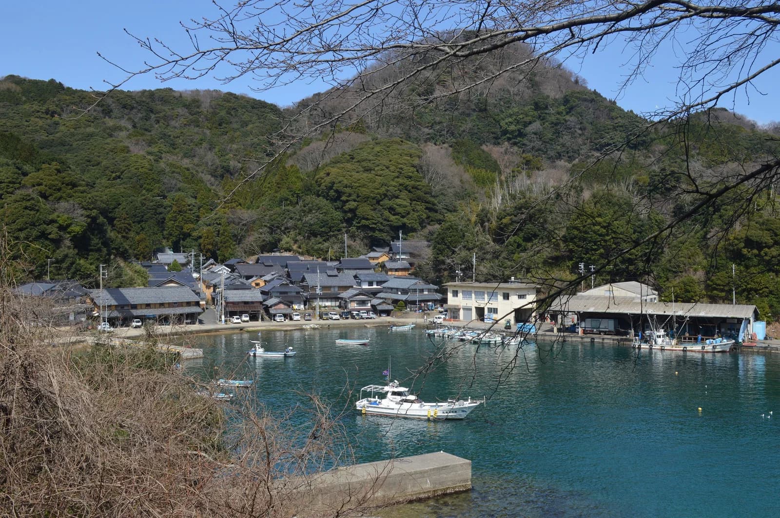 Nariu