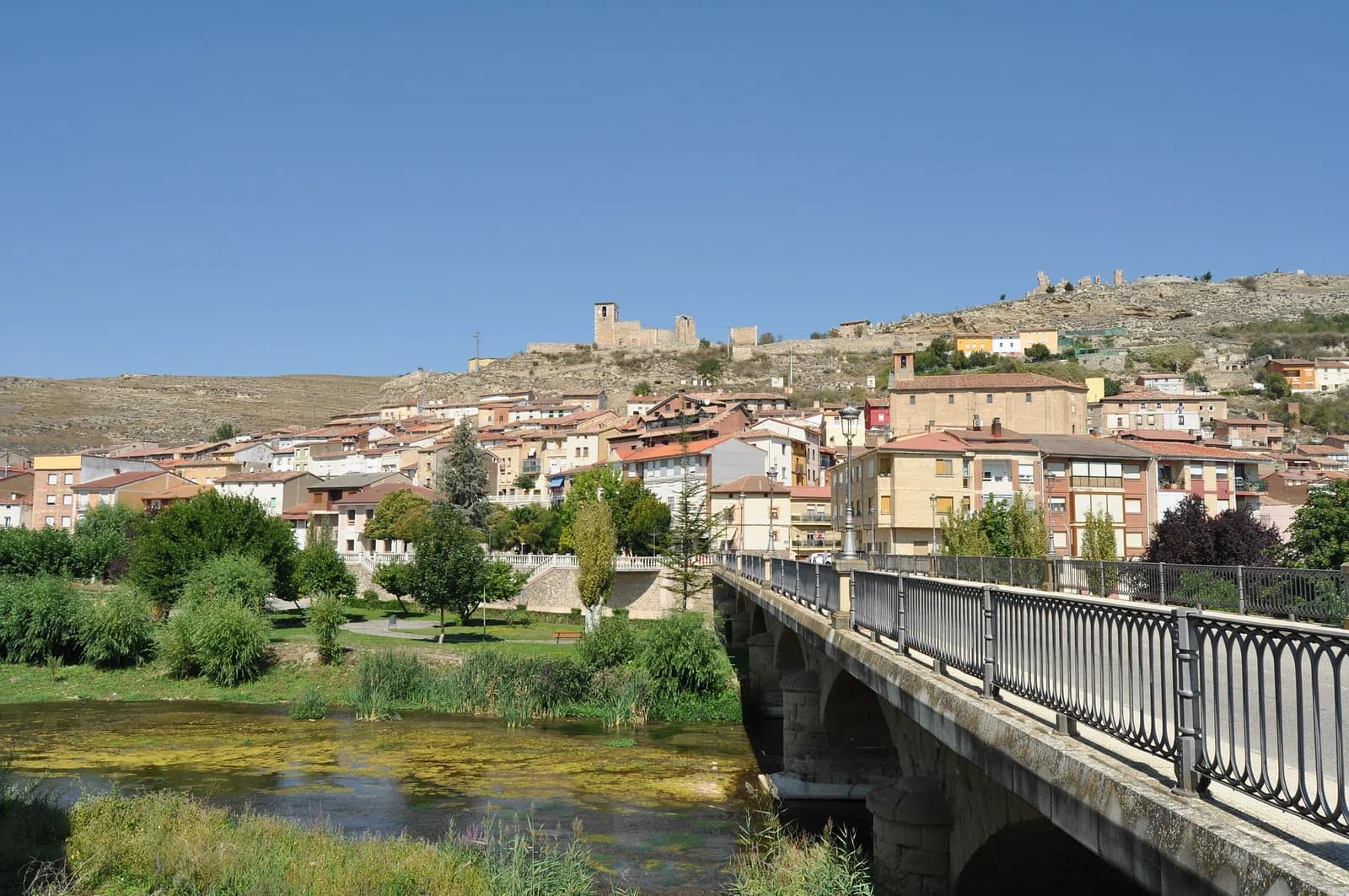 Cerezo de Río Tirón