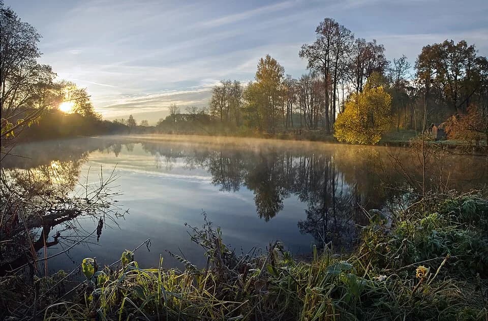 Chekhovsky District