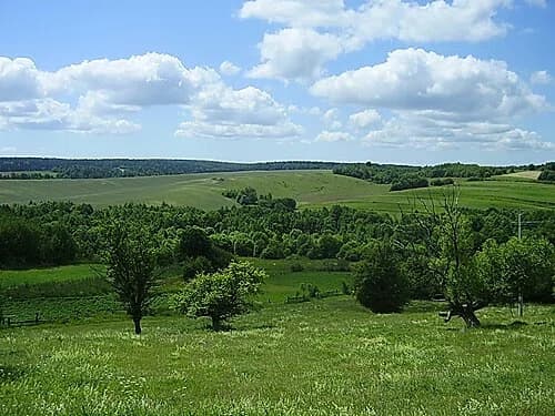 Hajna