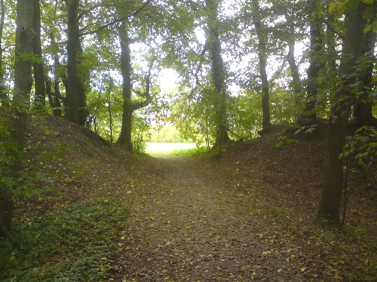 Ertheneburg