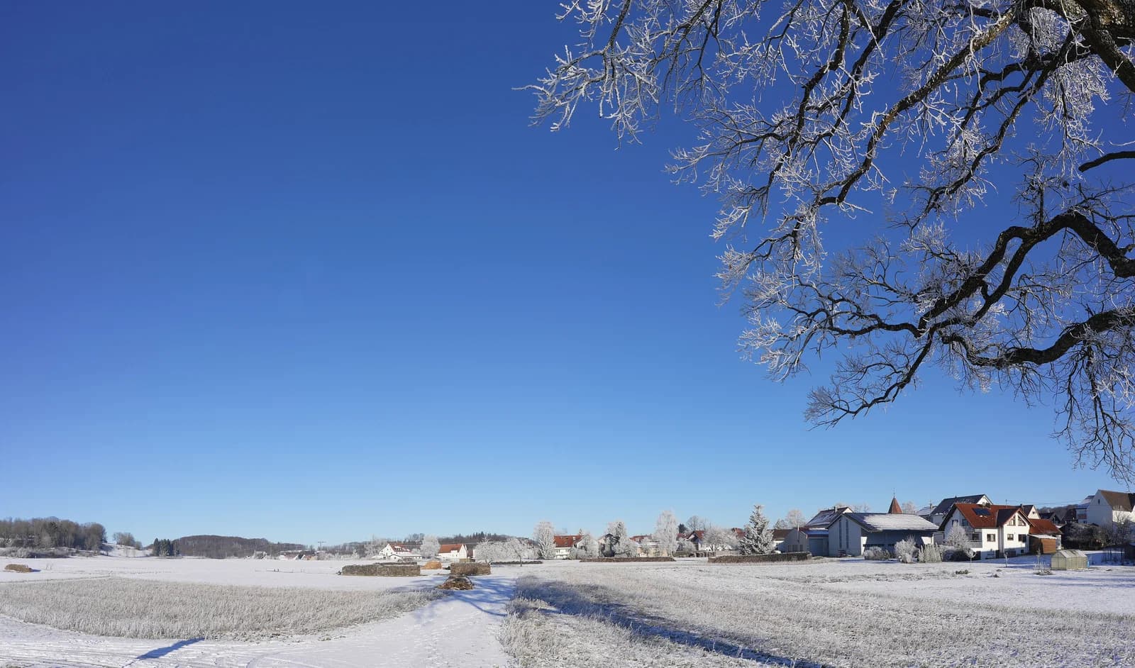 Genkingen