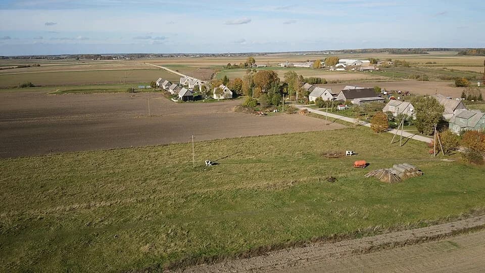Ginteniai