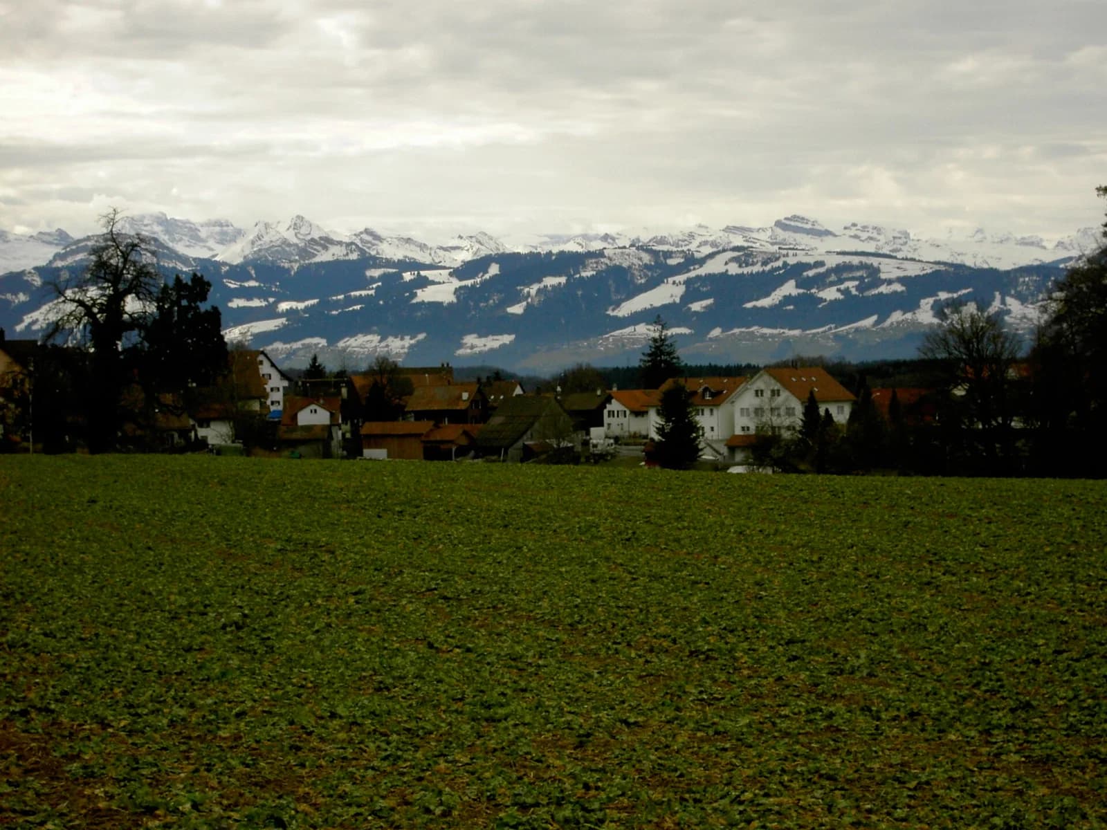 Grüt