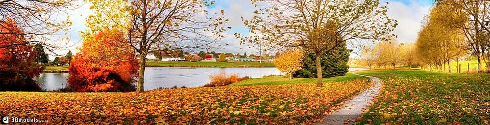 Tokoroa