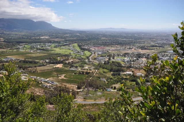 Constantia