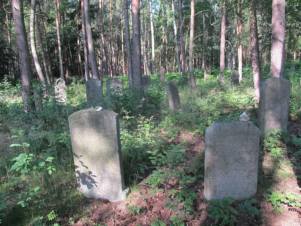 Lomnička