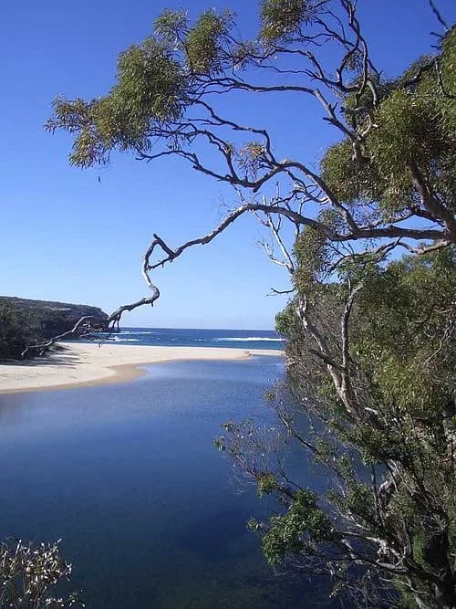 Royal National Park