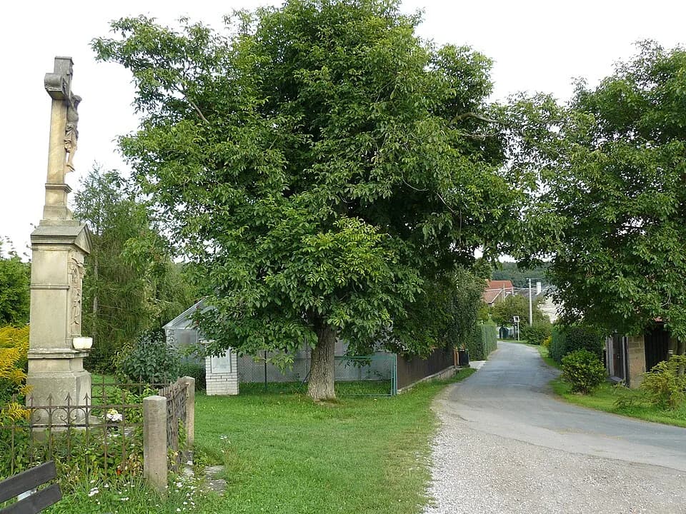 Brtev