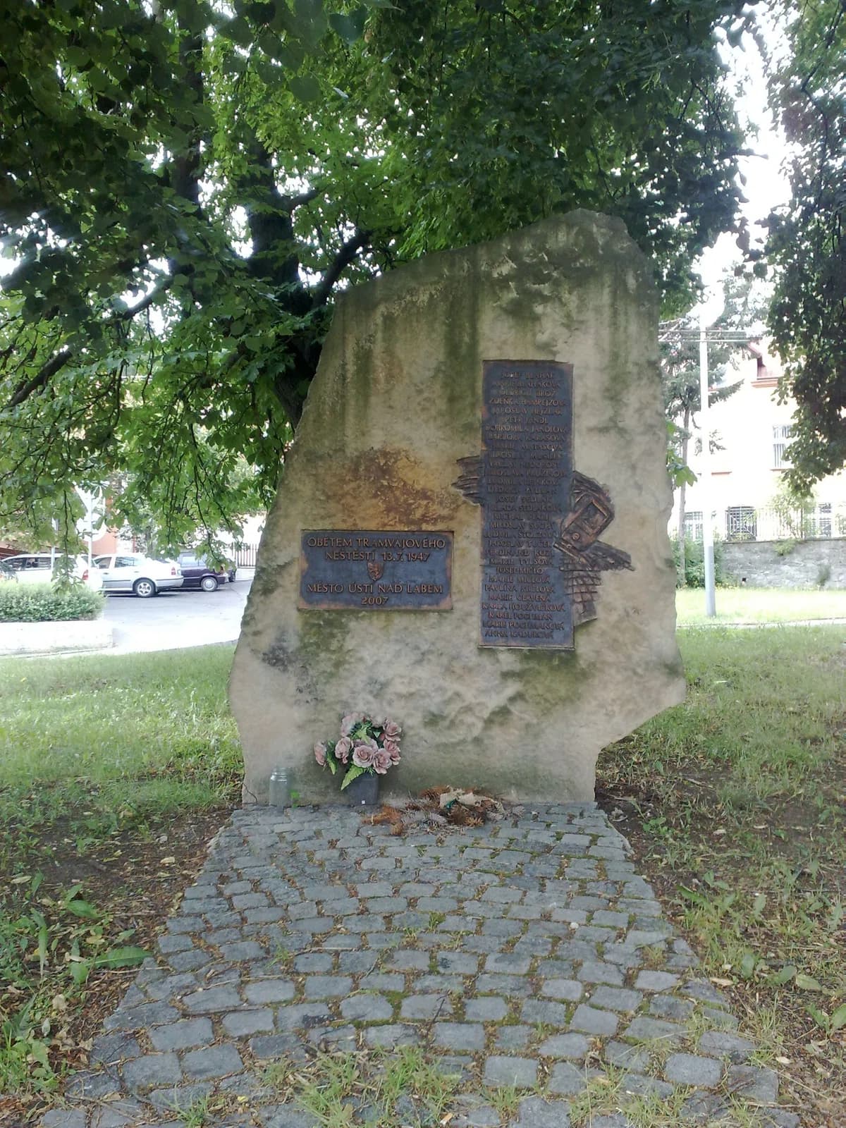Bukov