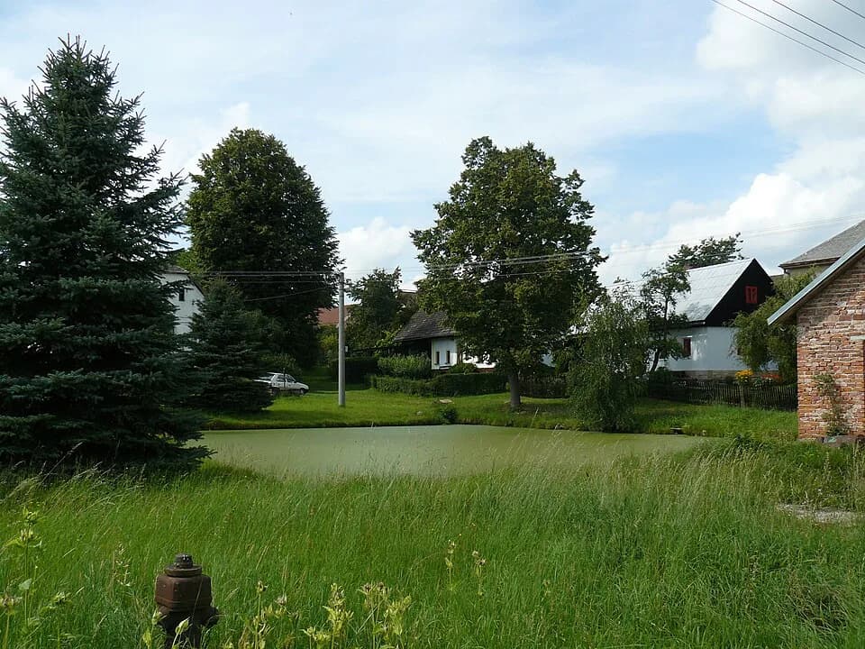 Bukovina u Pecky