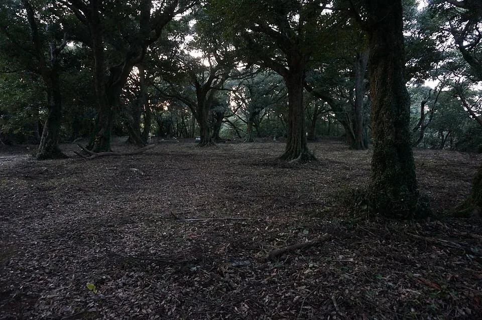 Izaku Castle