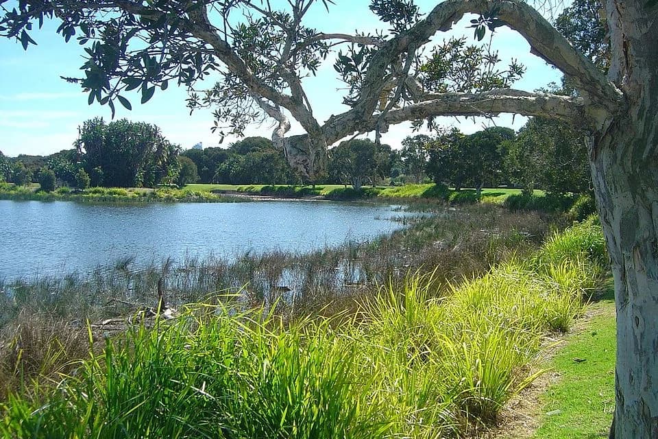 Centennial Park