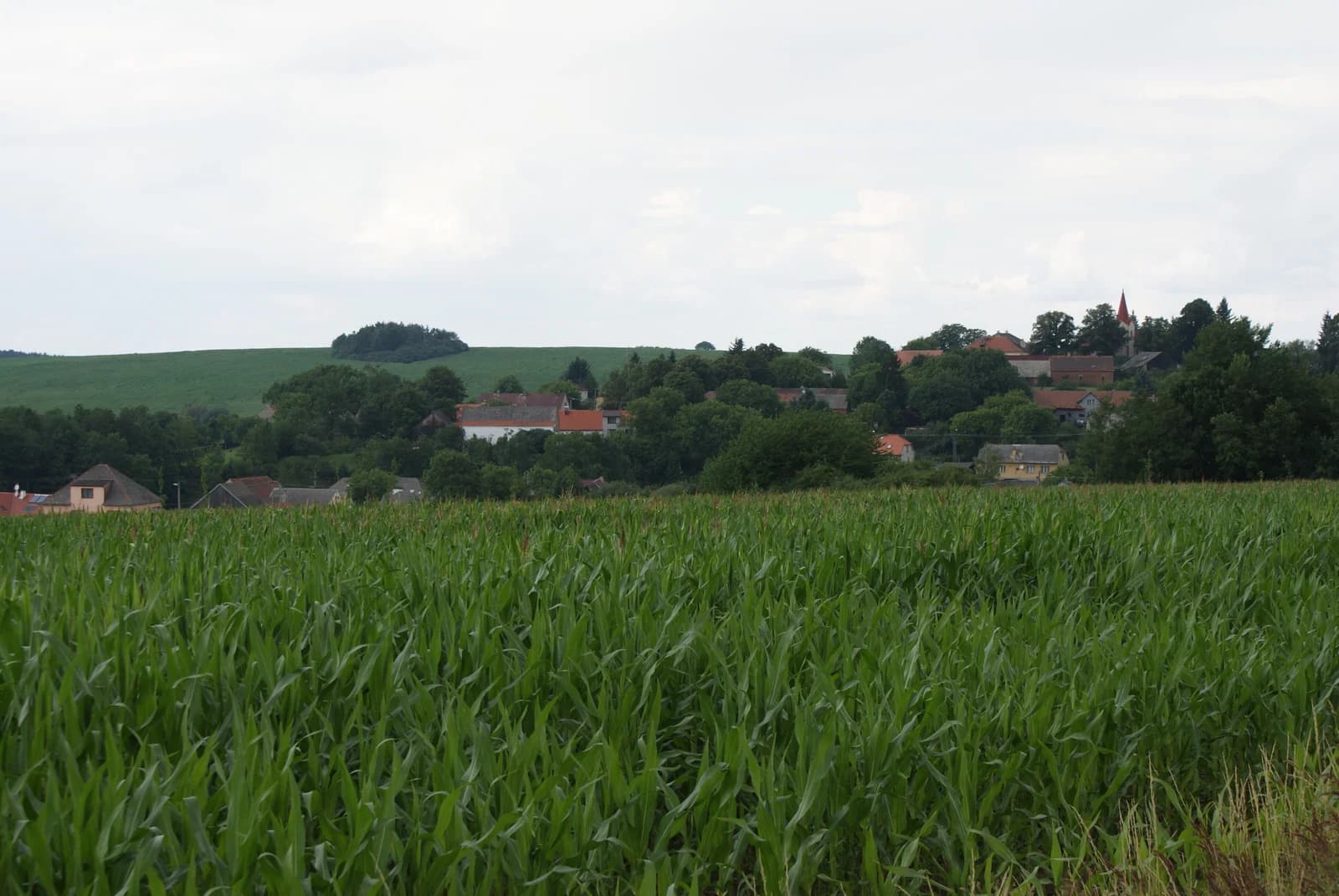 Číčov