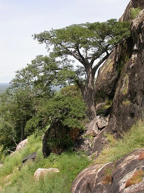 Nahouri Province