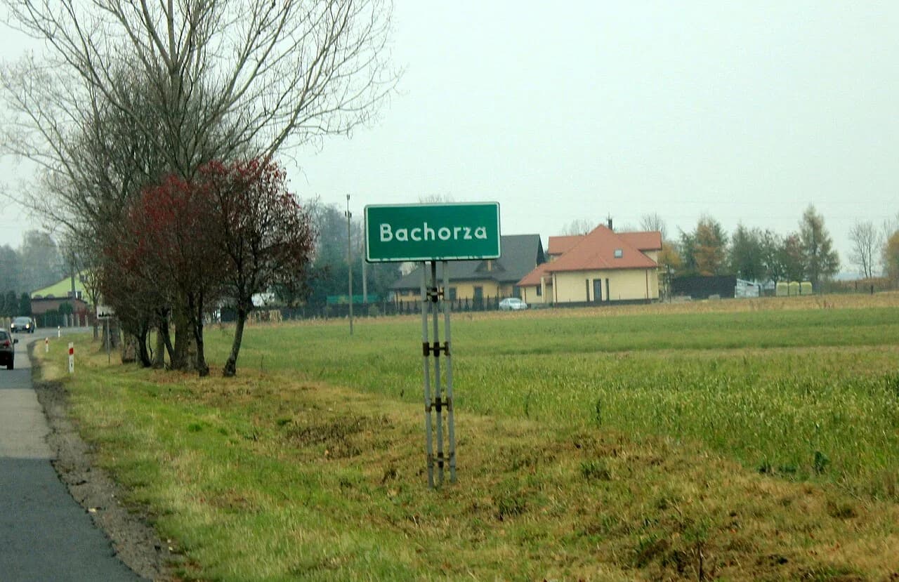 Bachorza
