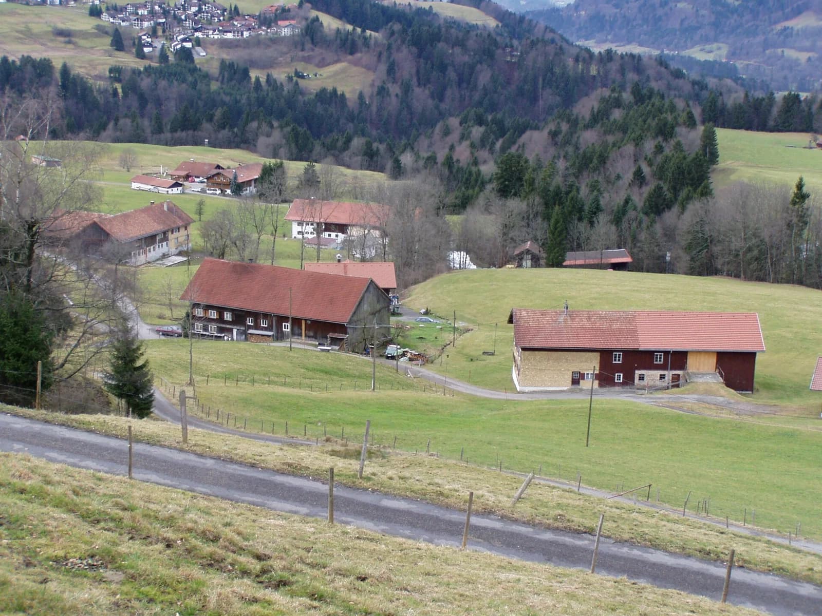 Buchenegg