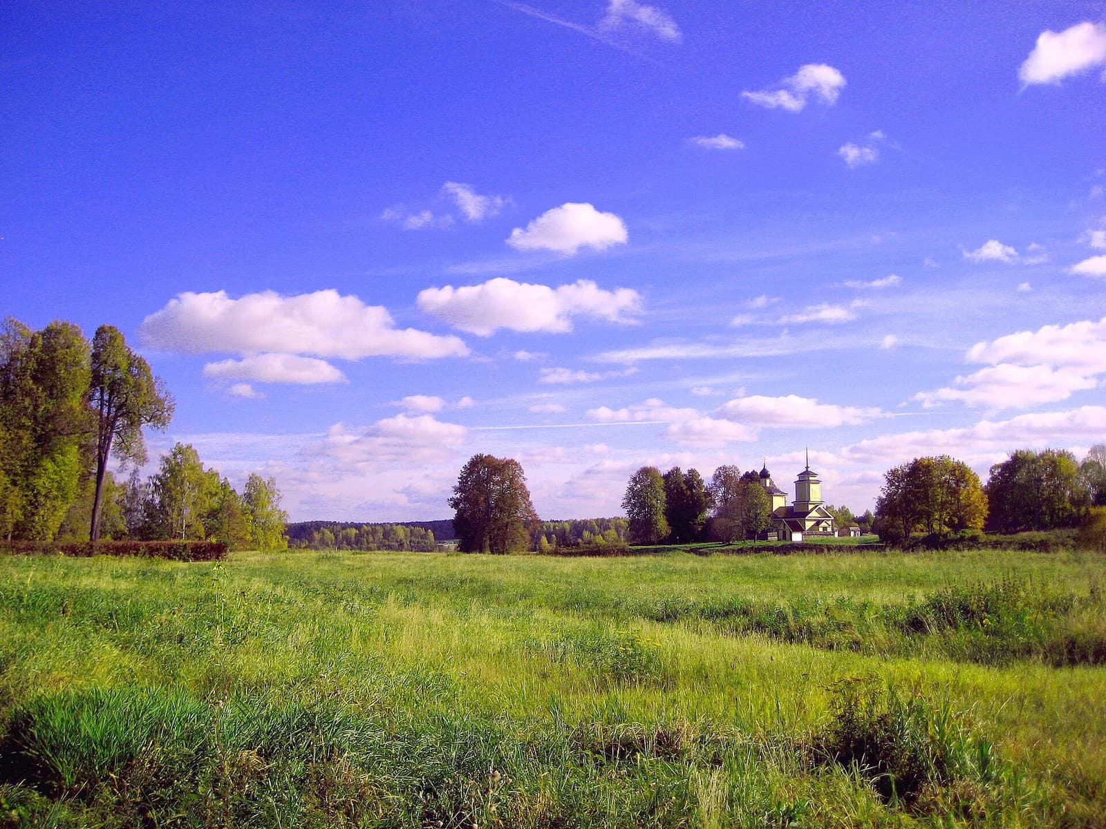 Pushkinogorsky District