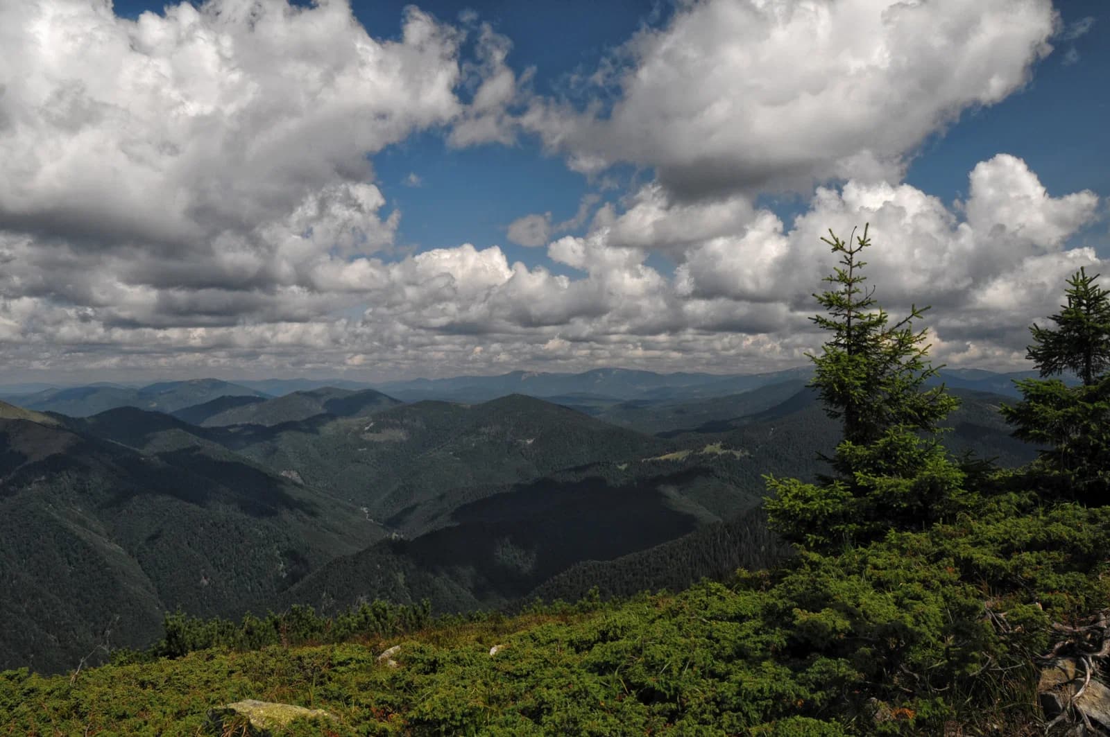 Transcarpathia