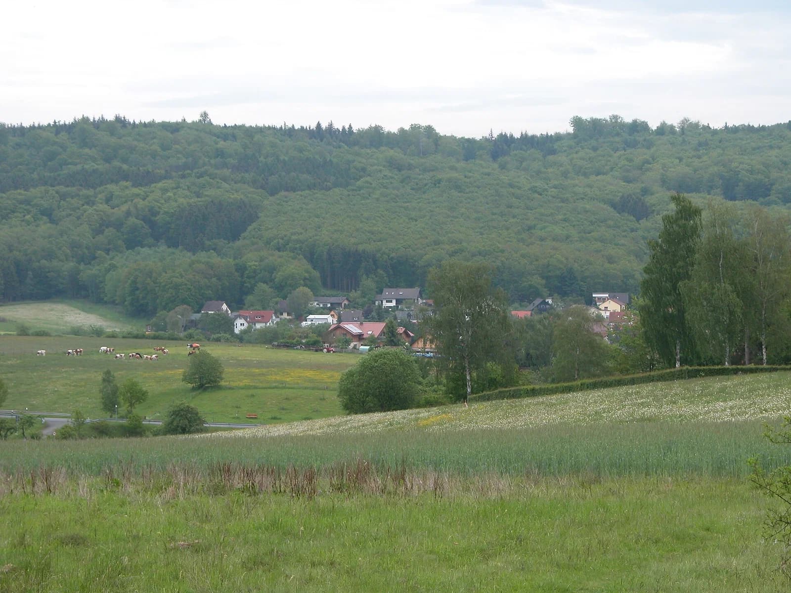 Cyriaxweimar
