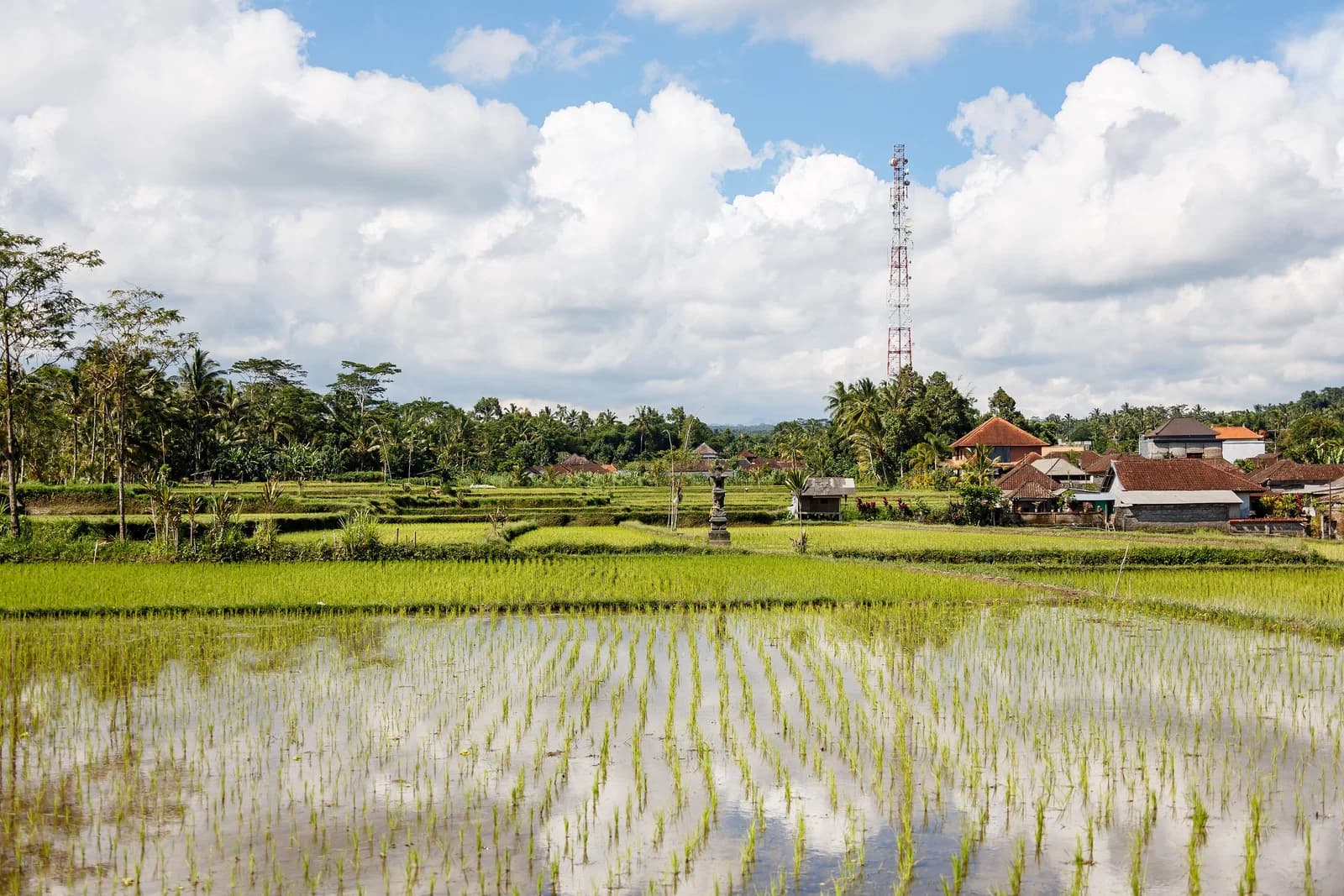 Gianyar