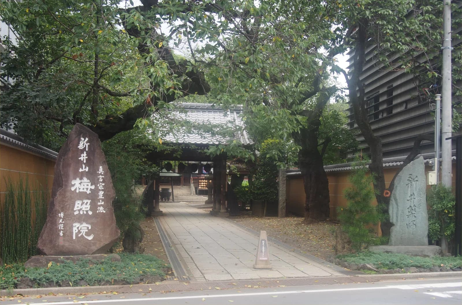 Arai