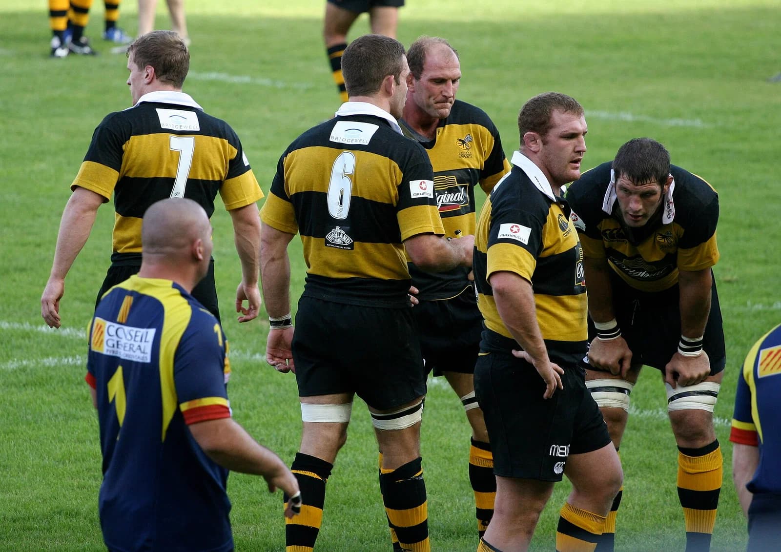 Wasps RFC