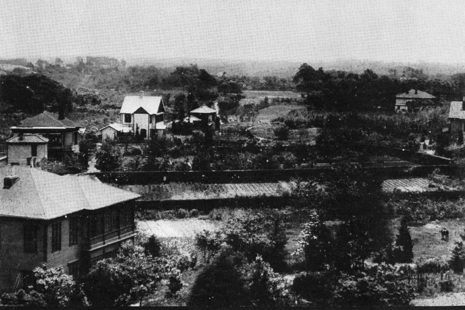 Tokyo Anglo-Japanese College
