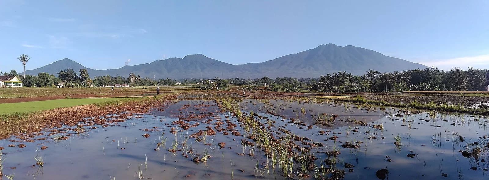 Parung Kuda