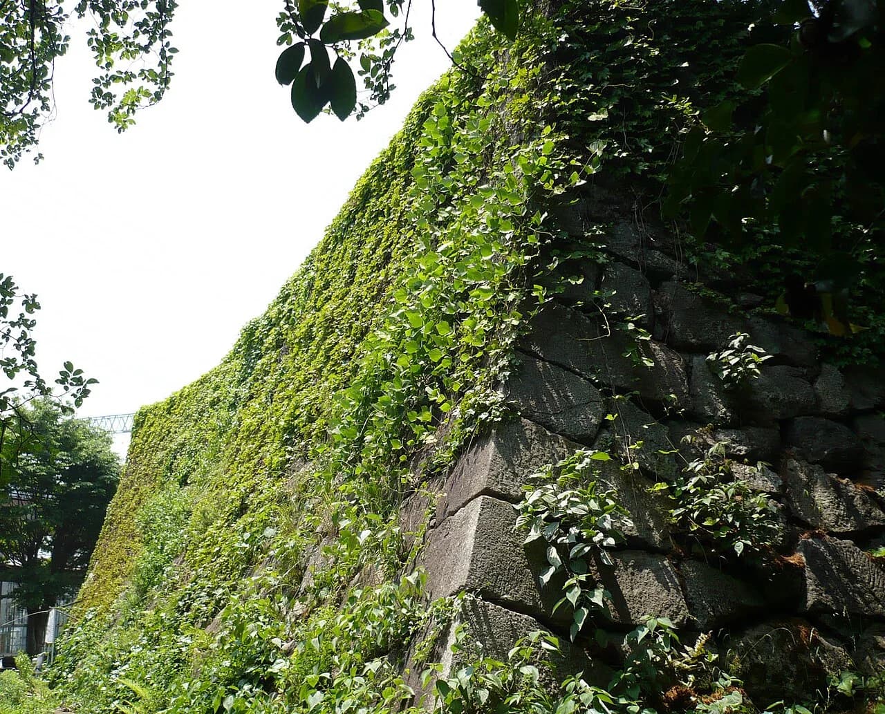 Yodo Castle