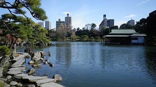 Kiyosumi