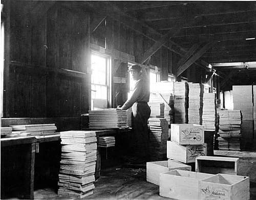 cannery worker