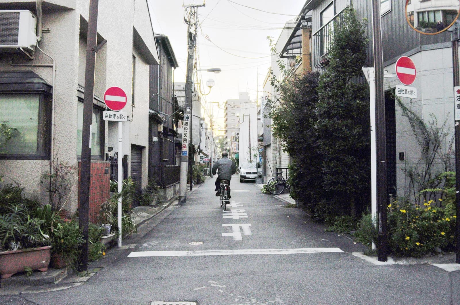 Yanaka