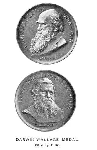 Darwin–Wallace Medal