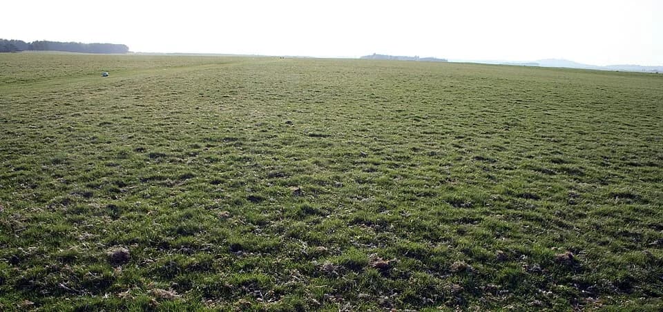 Curragh