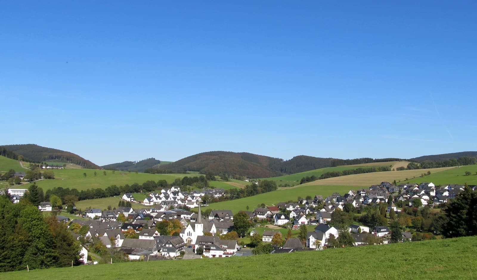Dorlar