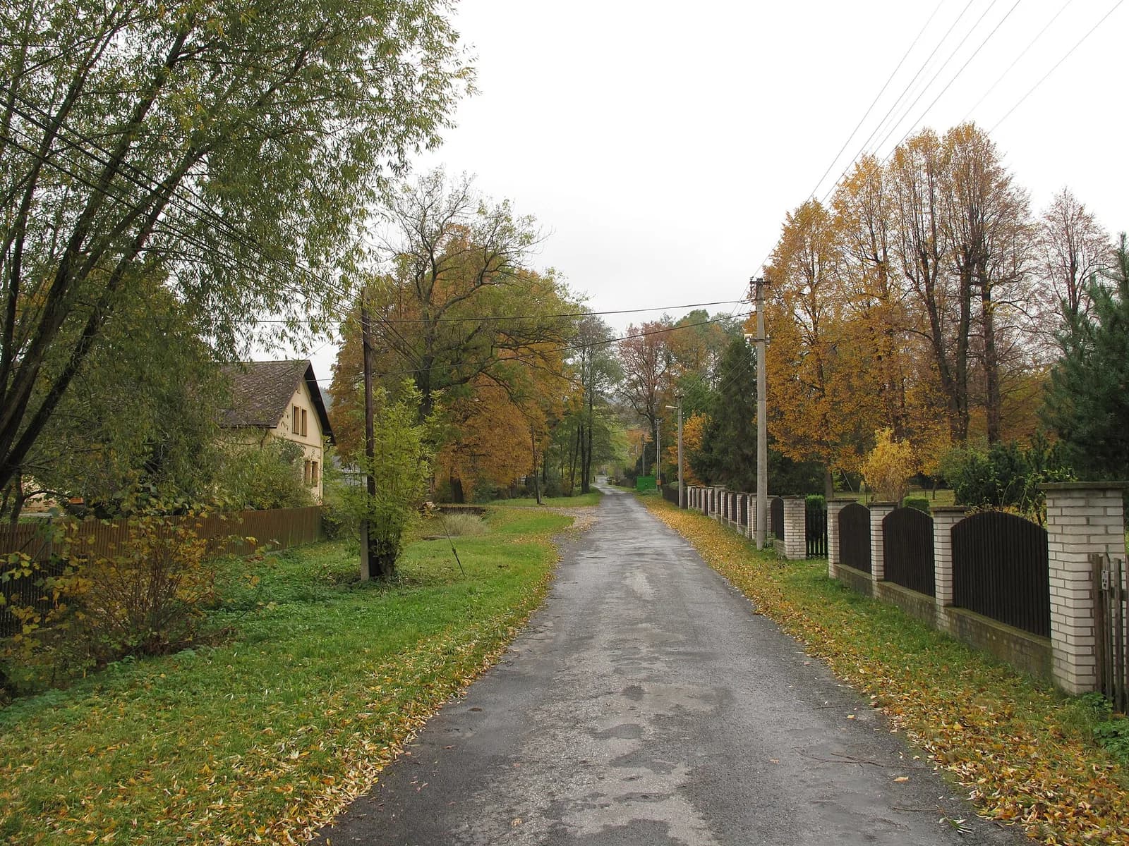 Bučávka