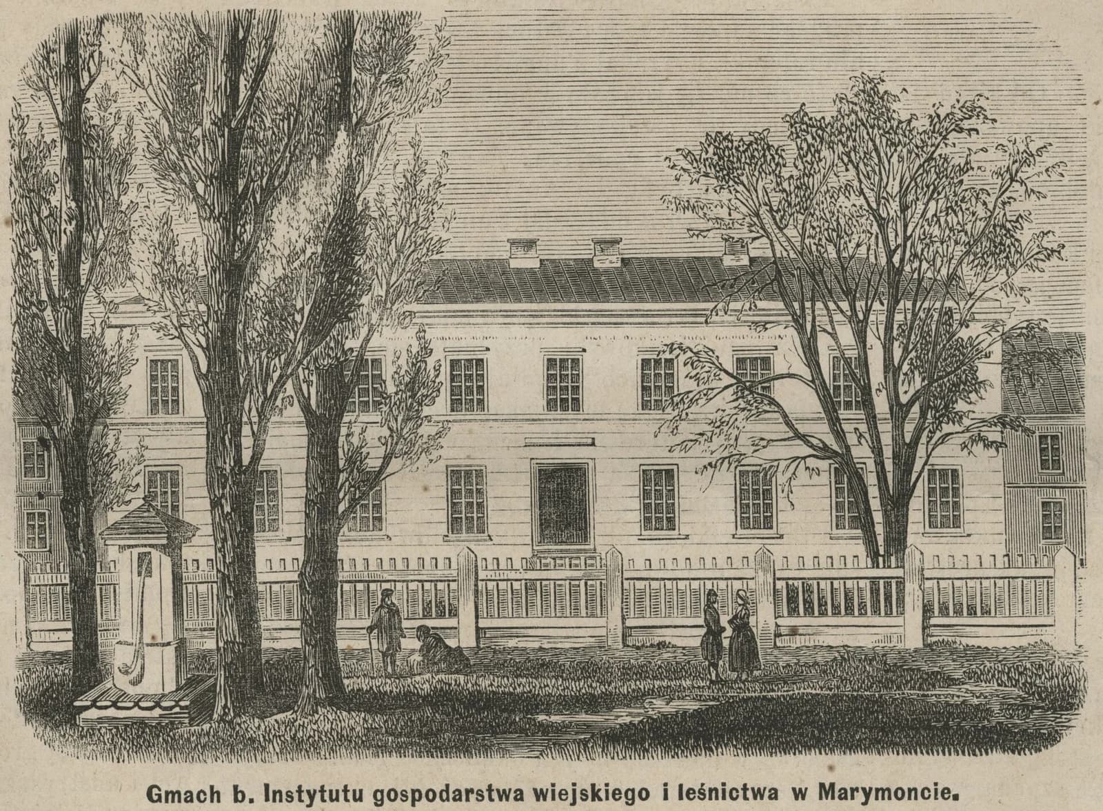 Agronomic and Forestry Institute in Marymont